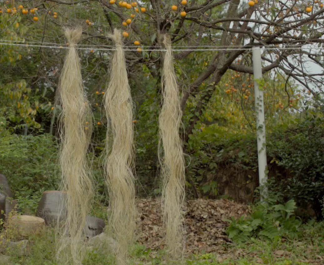 한산모시 현장 자원