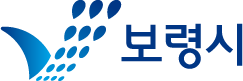 보령시